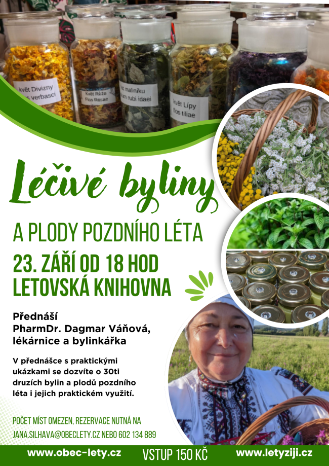 Léčivé byliny